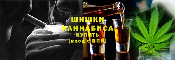 хмурый Алзамай
