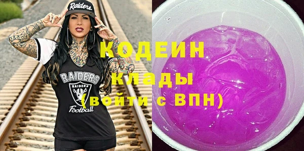 хмурый Алзамай