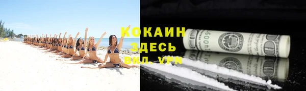 хмурый Алзамай