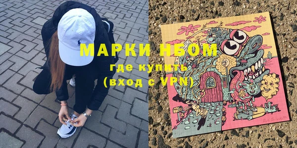 хмурый Алзамай
