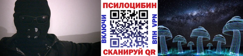 продажа наркотиков  Долгопрудный  Псилоцибиновые грибы ЛСД 